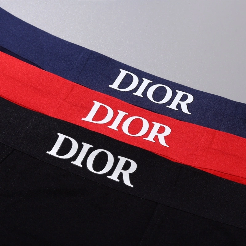 Neat Christian Dior Underwear 276458