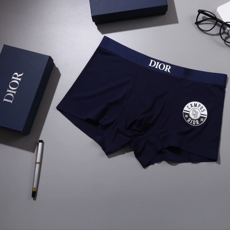 Neat Christian Dior Underwear 276458