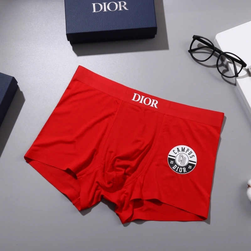 Neat Christian Dior Underwear 276458