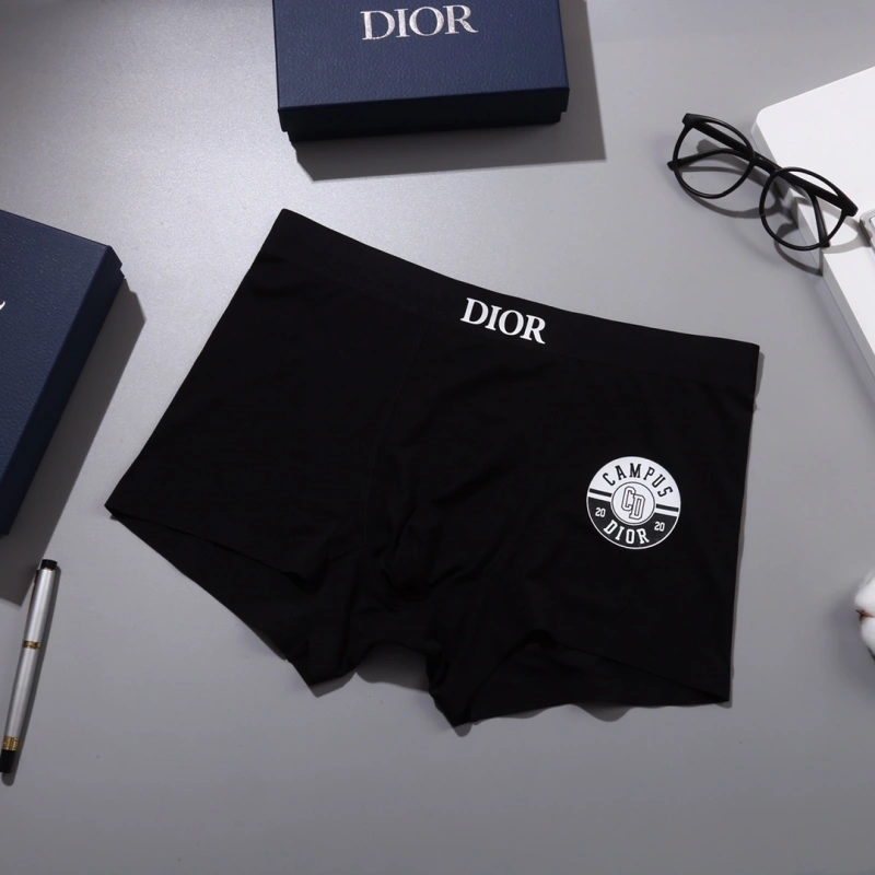 Neat Christian Dior Underwear 276458