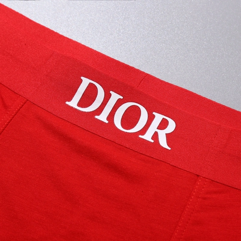 Neat Christian Dior Underwear 276458