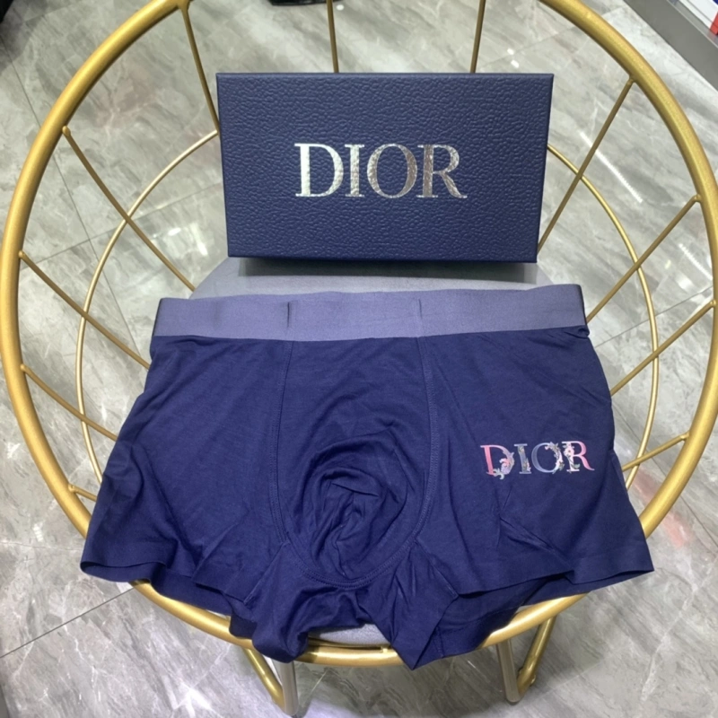 Seasonal Christian Dior Underwear 276474