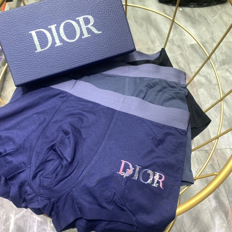 Seasonal Christian Dior Underwear 276474