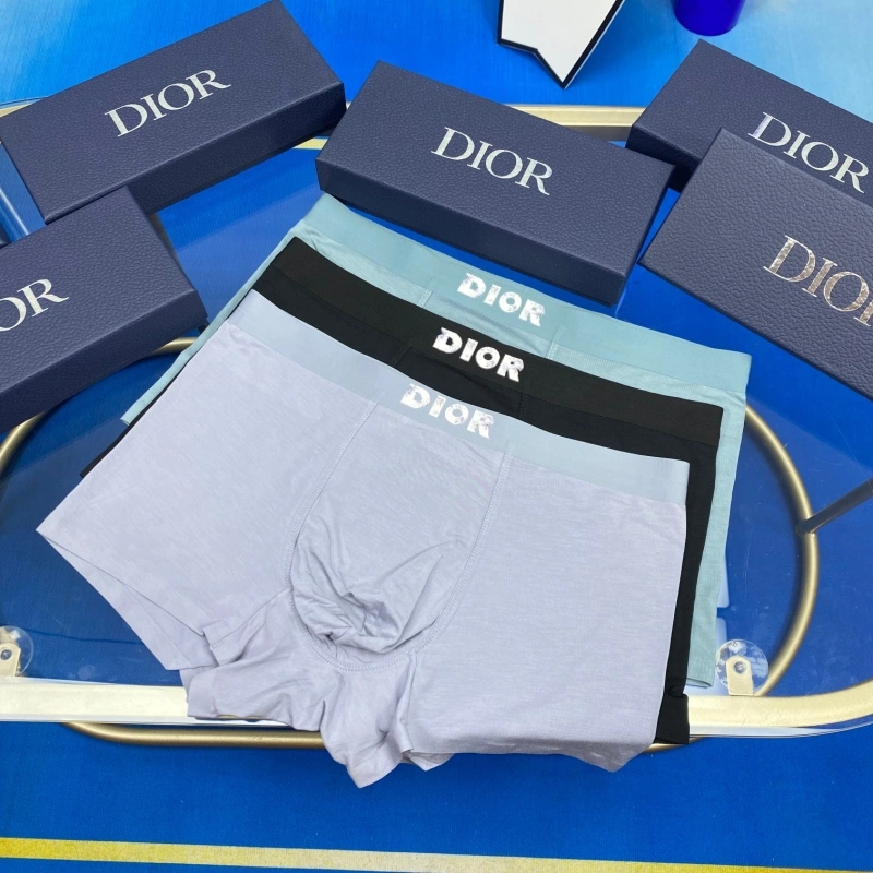 Christian Dior Underwear EyeCatching 276476