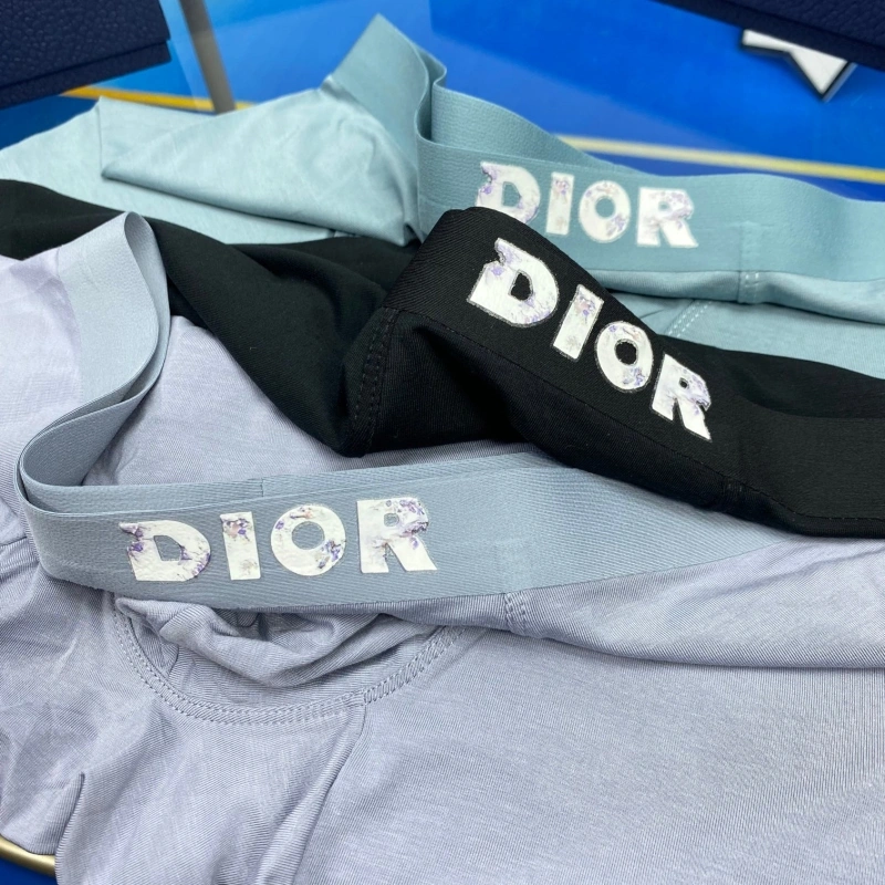 Christian Dior Underwear EyeCatching 276476
