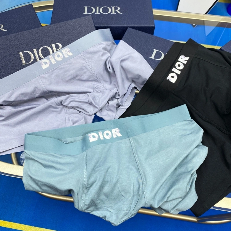 Christian Dior Underwear EyeCatching 276476