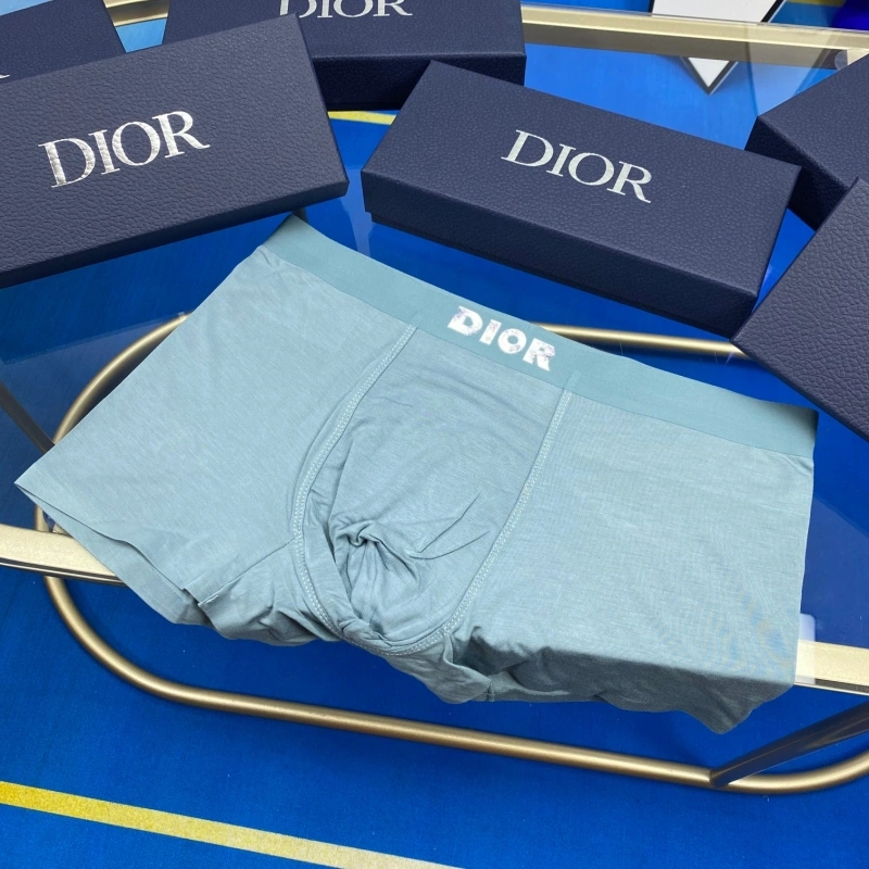 Christian Dior Underwear EyeCatching 276476