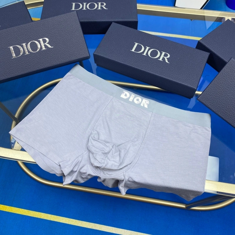 Christian Dior Underwear EyeCatching 276476