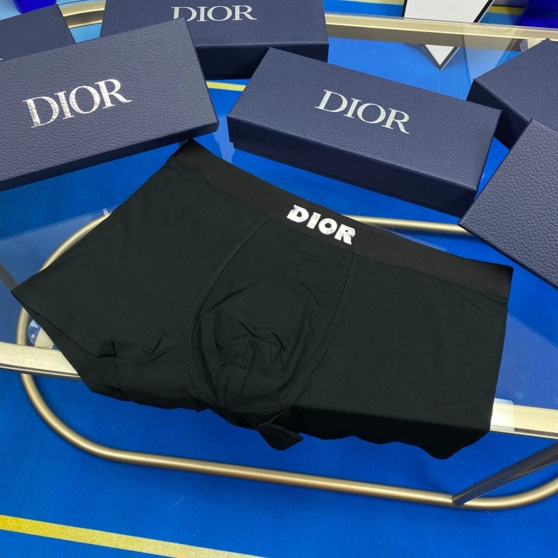 Christian Dior Underwear EyeCatching 276476
