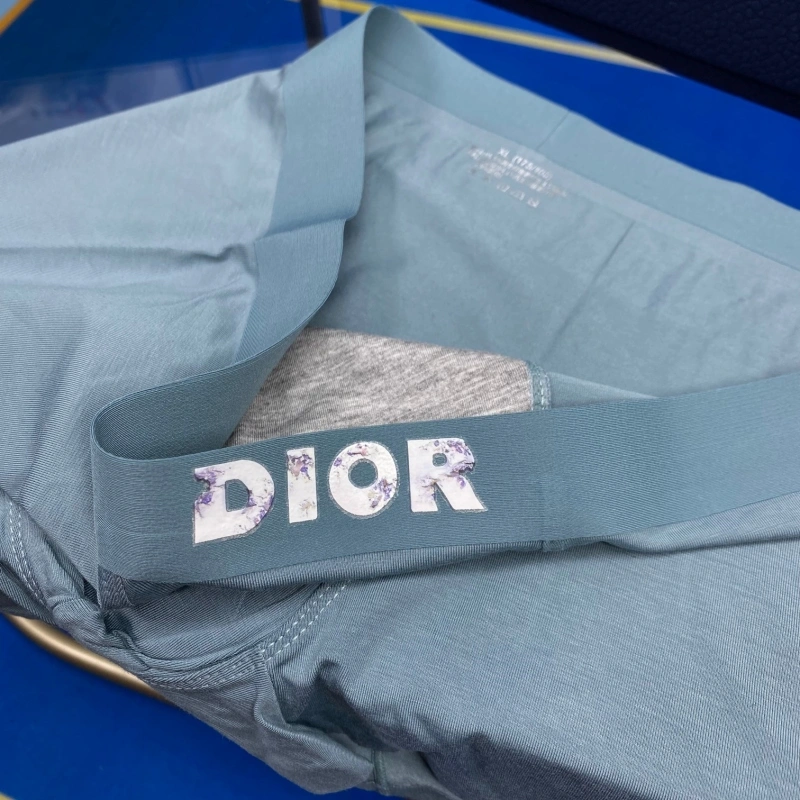 Christian Dior Underwear EyeCatching 276476