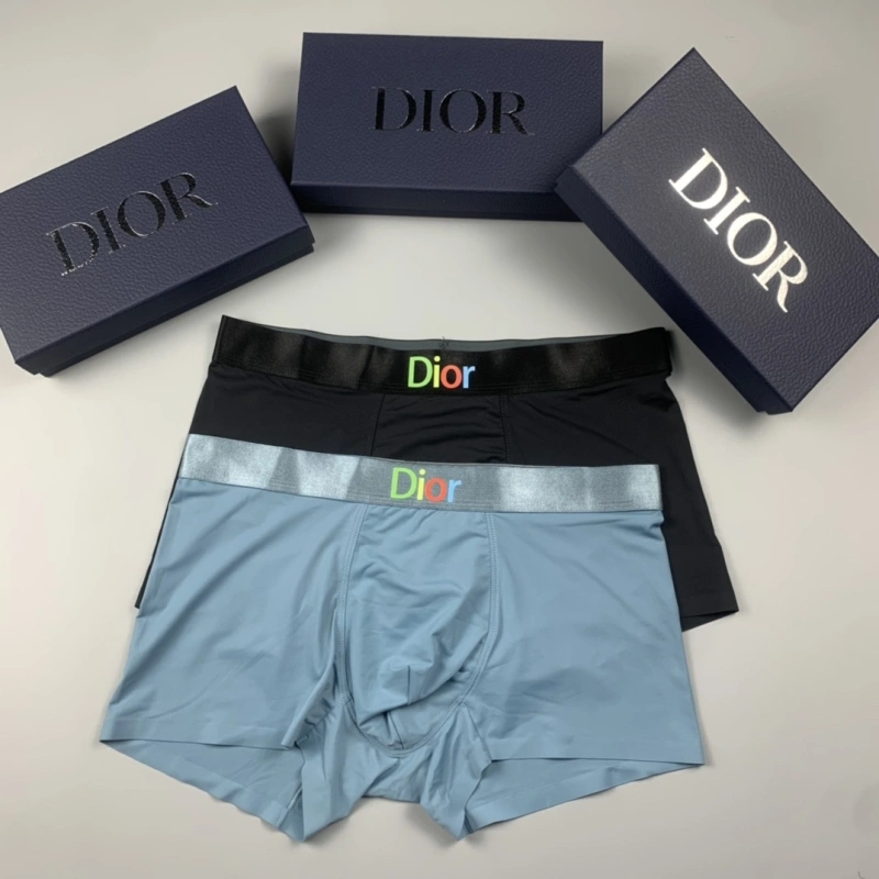 ZeroBulk Christian Dior Underwear 276480