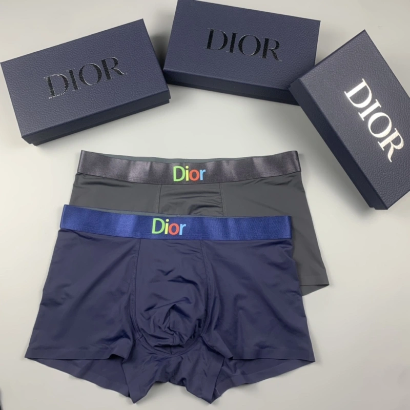 ZeroBulk Christian Dior Underwear 276480