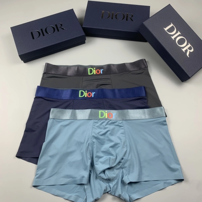ZeroBulk Christian Dior Underwear 276480