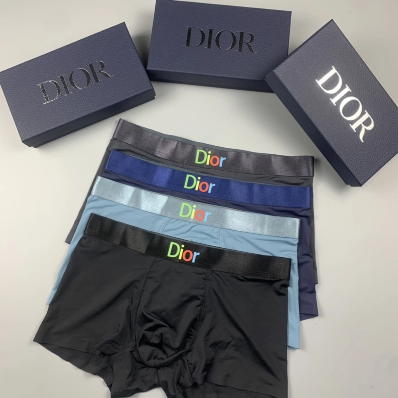ZeroBulk Christian Dior Underwear 276480