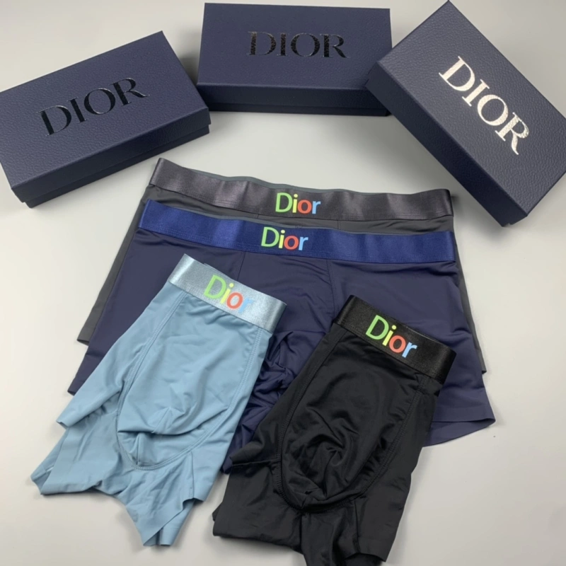 ZeroBulk Christian Dior Underwear 276480