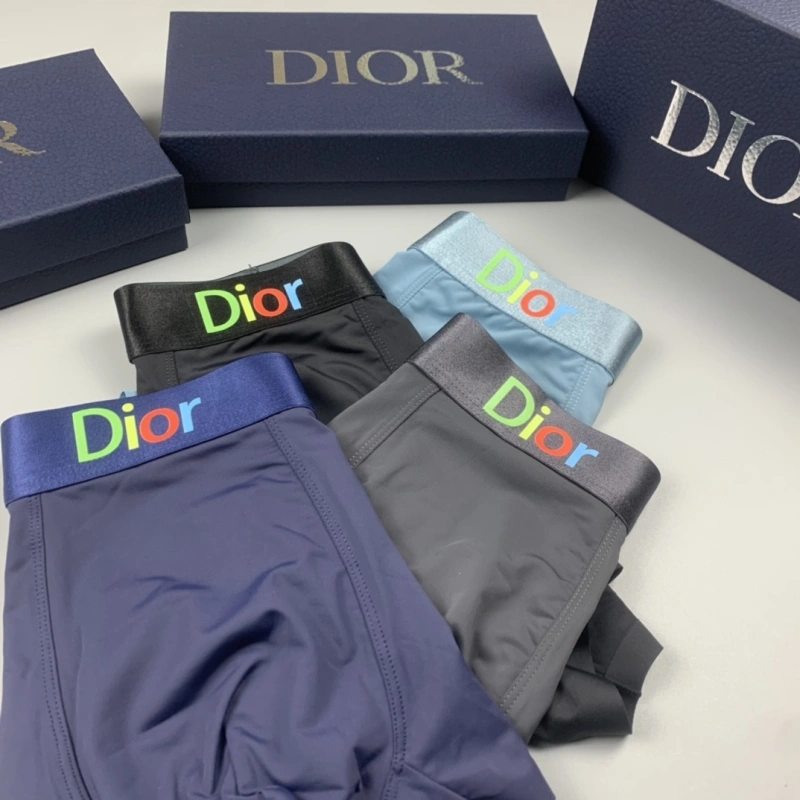 ZeroBulk Christian Dior Underwear 276480