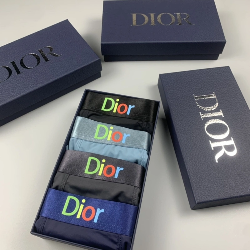 ZeroBulk Christian Dior Underwear 276480