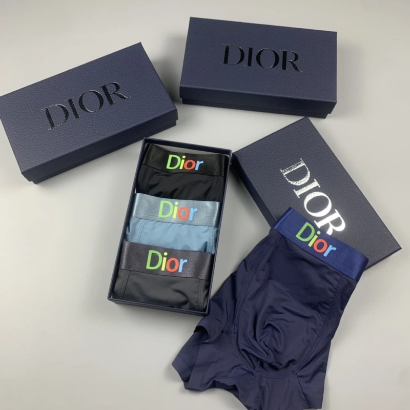 ZeroBulk Christian Dior Underwear 276480