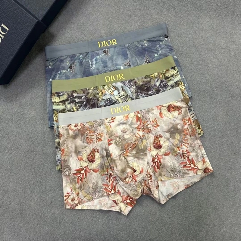 Minimalist Christian Dior Underwear 276466