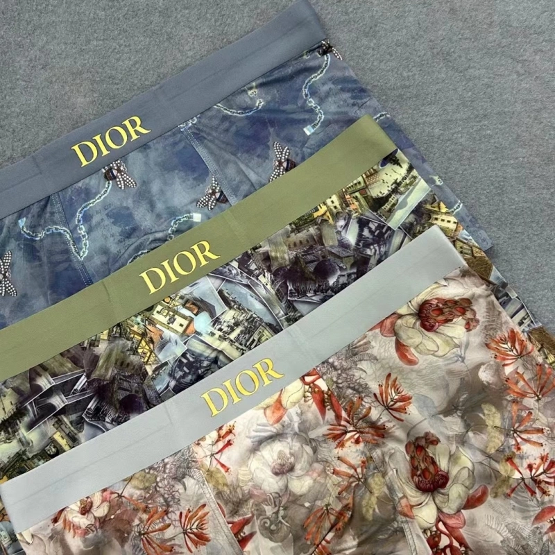 Minimalist Christian Dior Underwear 276466