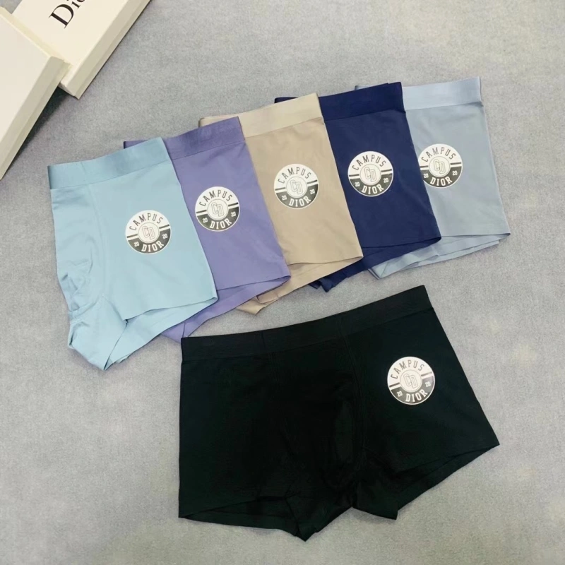 ZipUp Christian Dior Underwear 276464