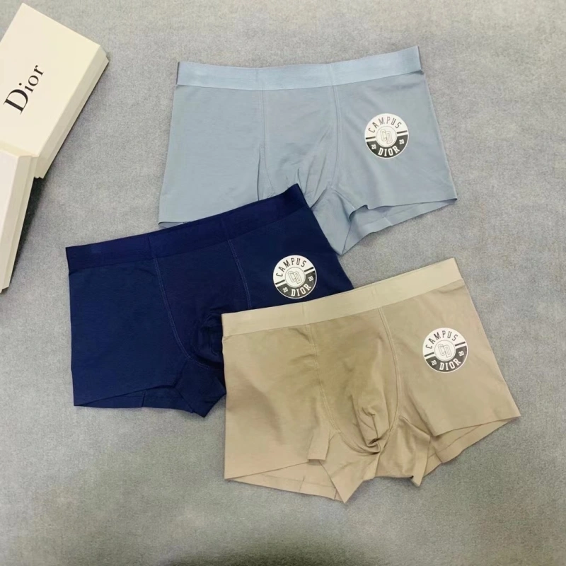 ZipUp Christian Dior Underwear 276464