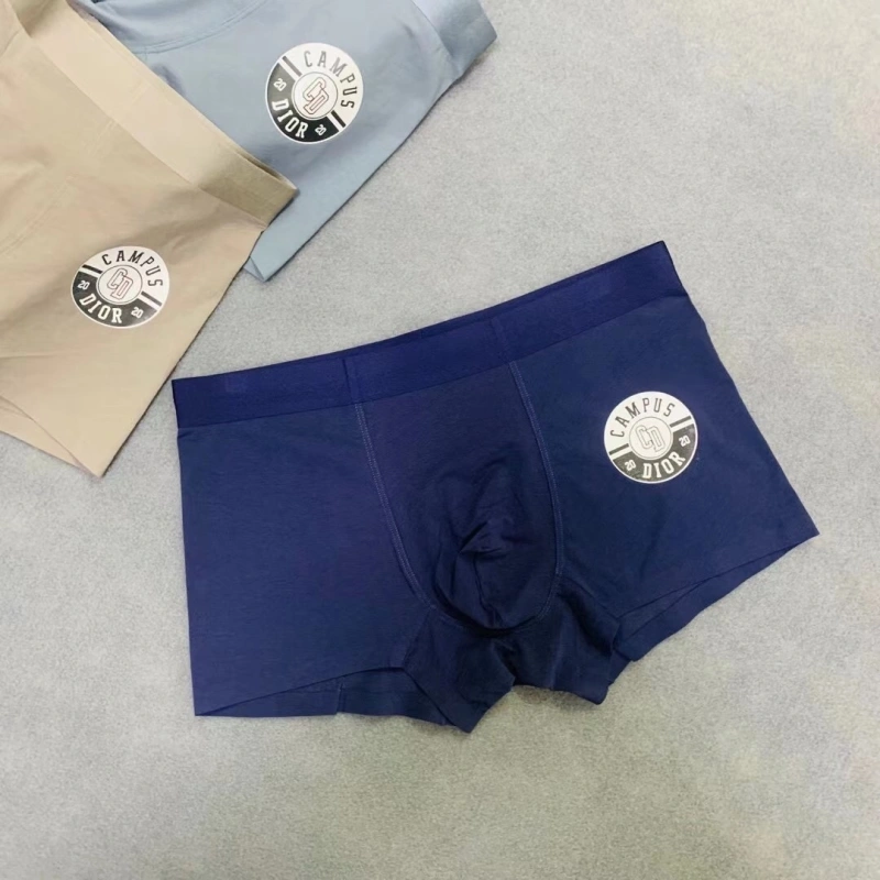 ZipUp Christian Dior Underwear 276464