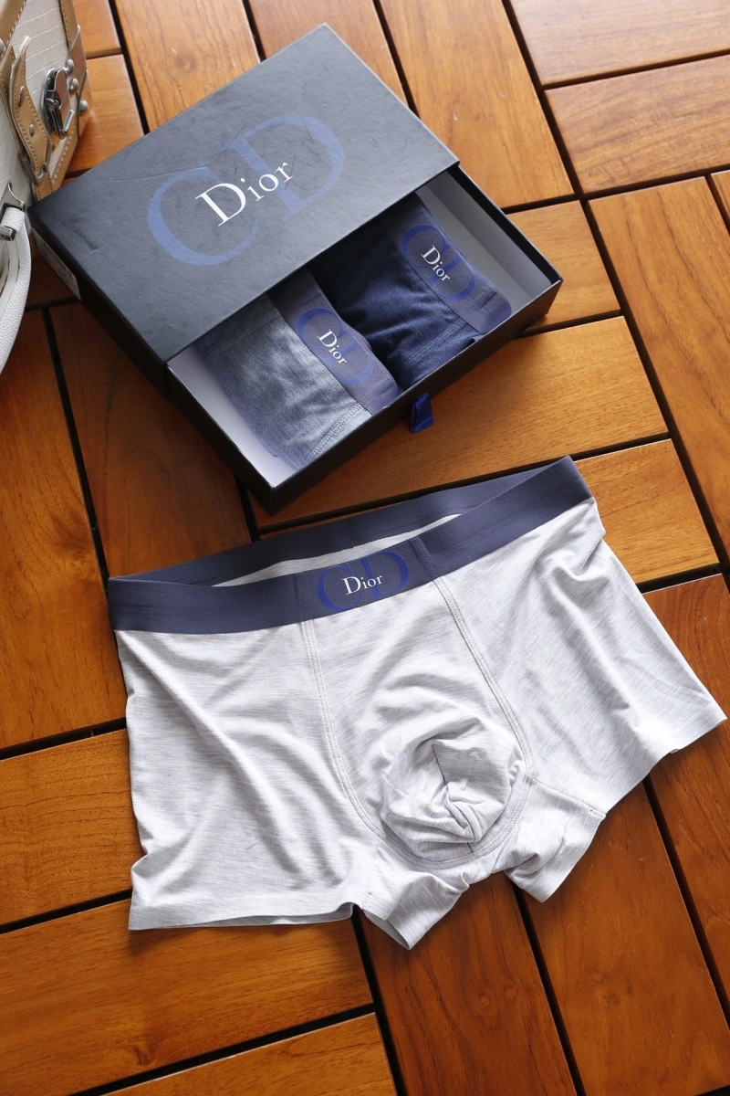 Christian Dior Underwear Tailored 276456