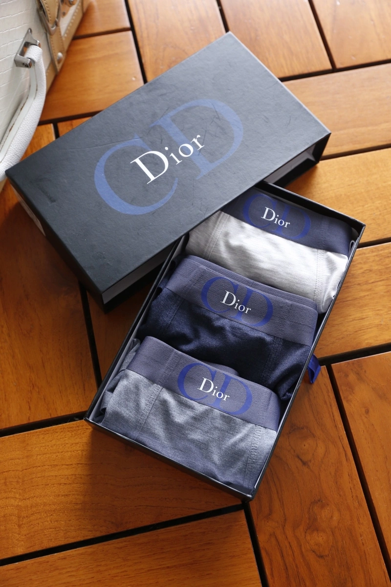 Christian Dior Underwear Tailored 276456
