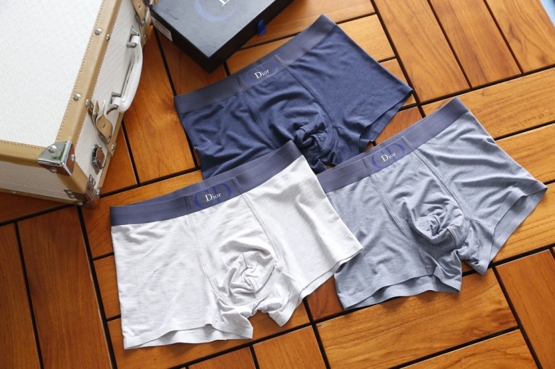 Christian Dior Underwear Tailored 276456
