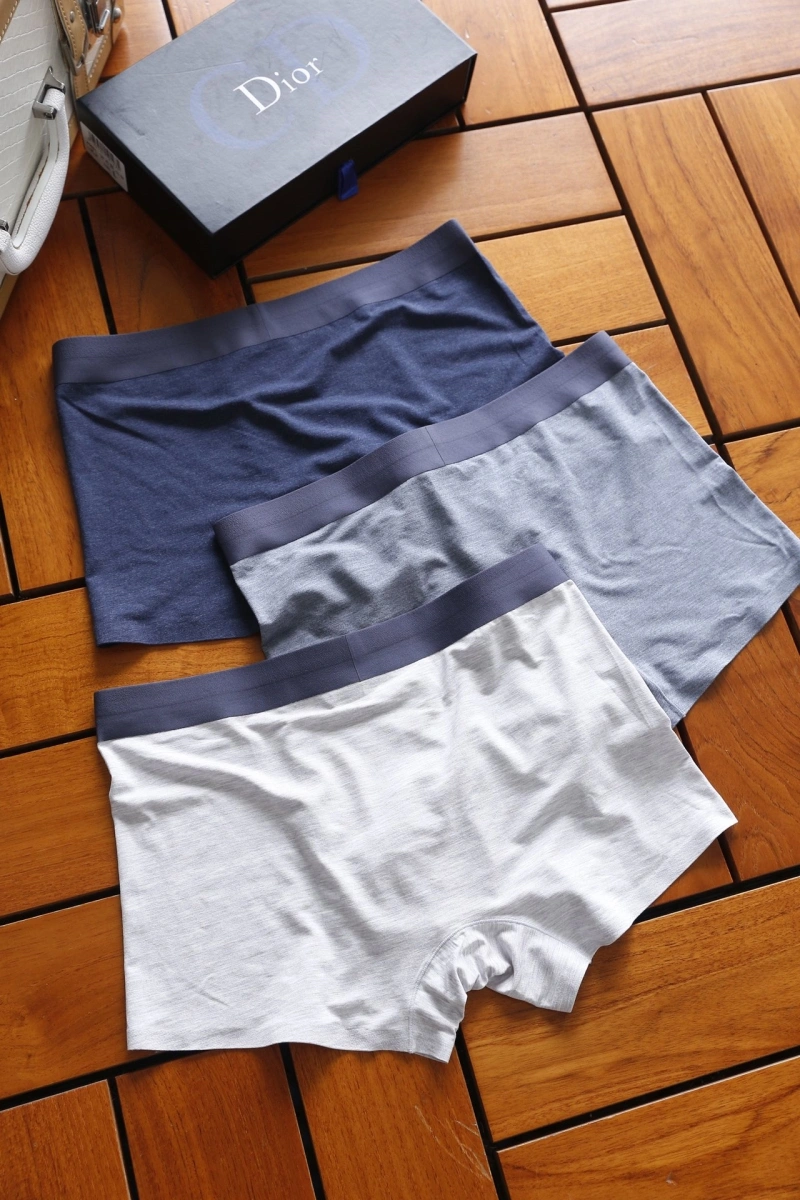Christian Dior Underwear Tailored 276456