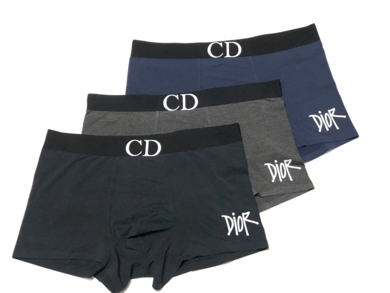 EasyMatch Christian Dior Underwear 276453