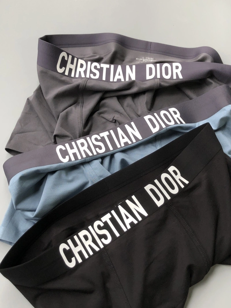 Comfortable Christian Dior Underwear 276454