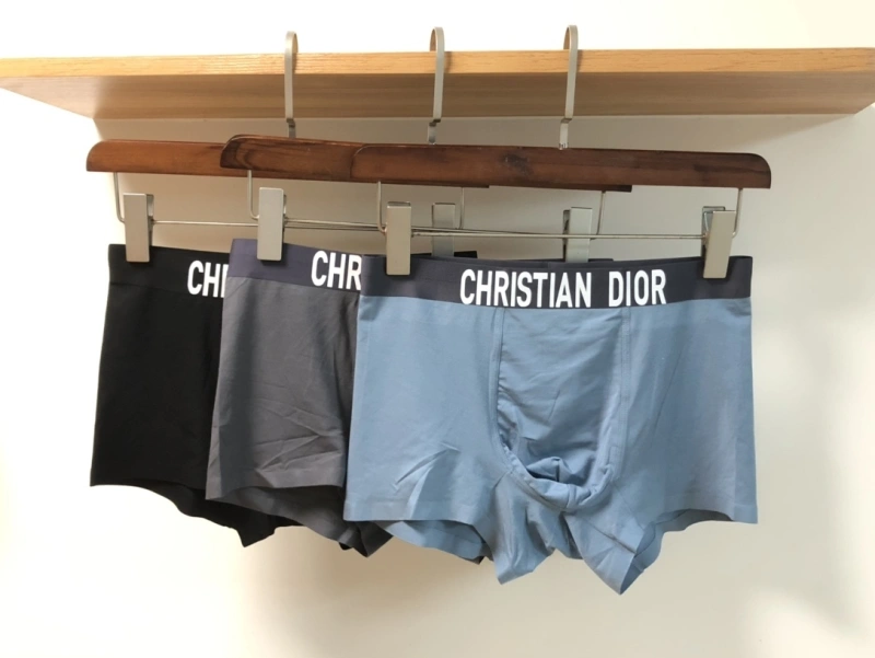 Comfortable Christian Dior Underwear 276454