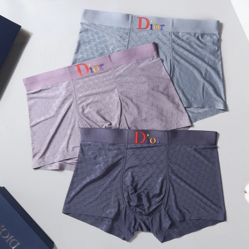 EasyCare Christian Dior Underwear 276450