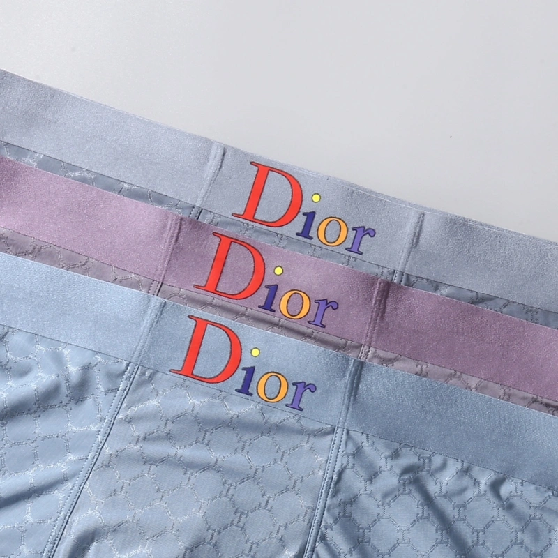 EasyCare Christian Dior Underwear 276450