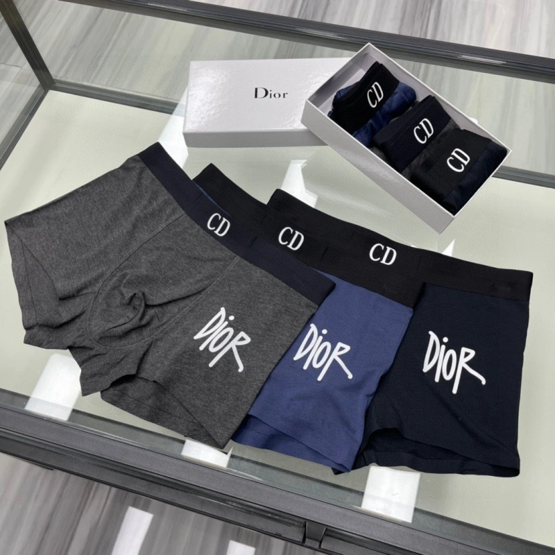 Fashionable Christian Dior Underwear 276449