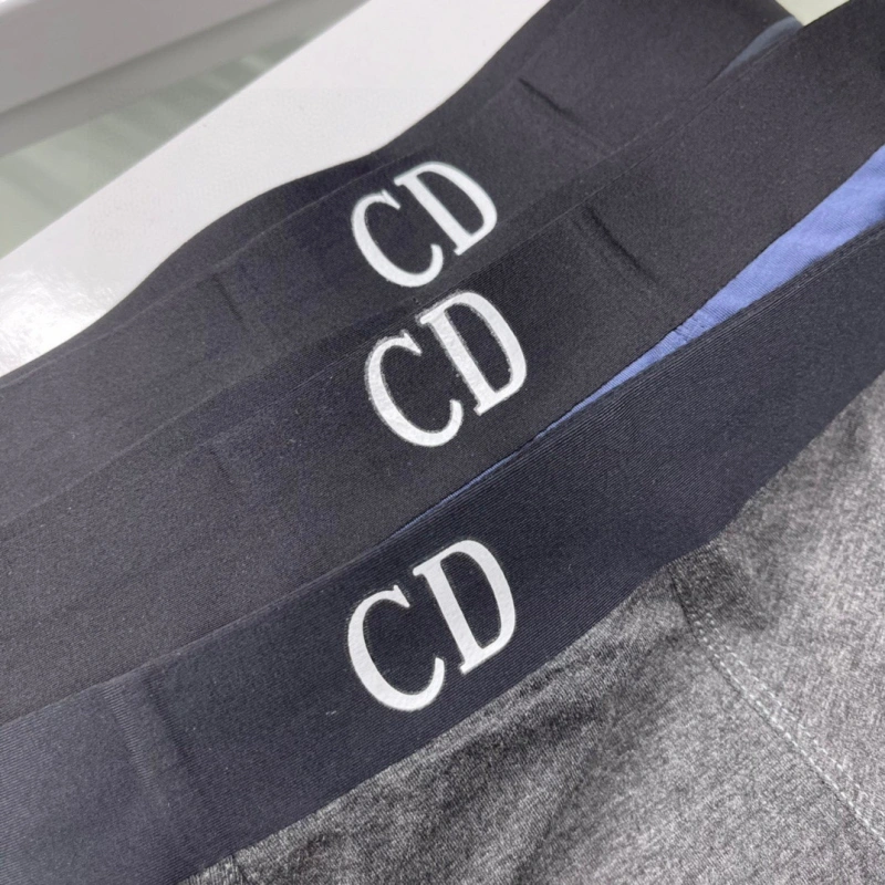 Fashionable Christian Dior Underwear 276449
