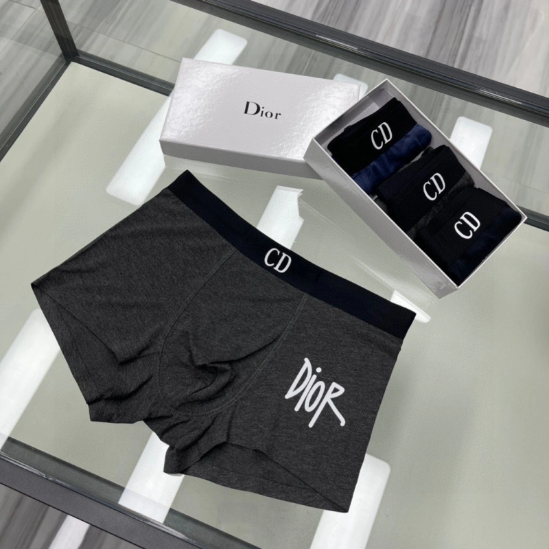 Fashionable Christian Dior Underwear 276449
