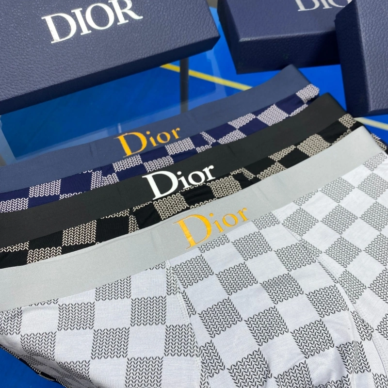 OdorResistant Christian Dior Underwear 276448