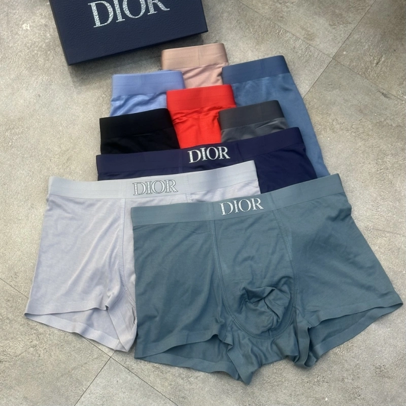 TravelReady Christian Dior Underwear 276447