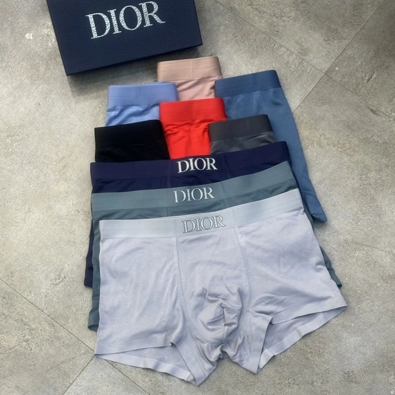 TravelReady Christian Dior Underwear 276447