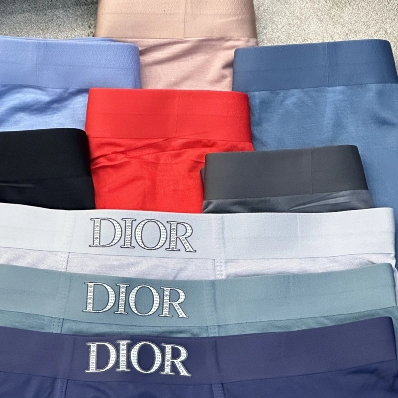 TravelReady Christian Dior Underwear 276447