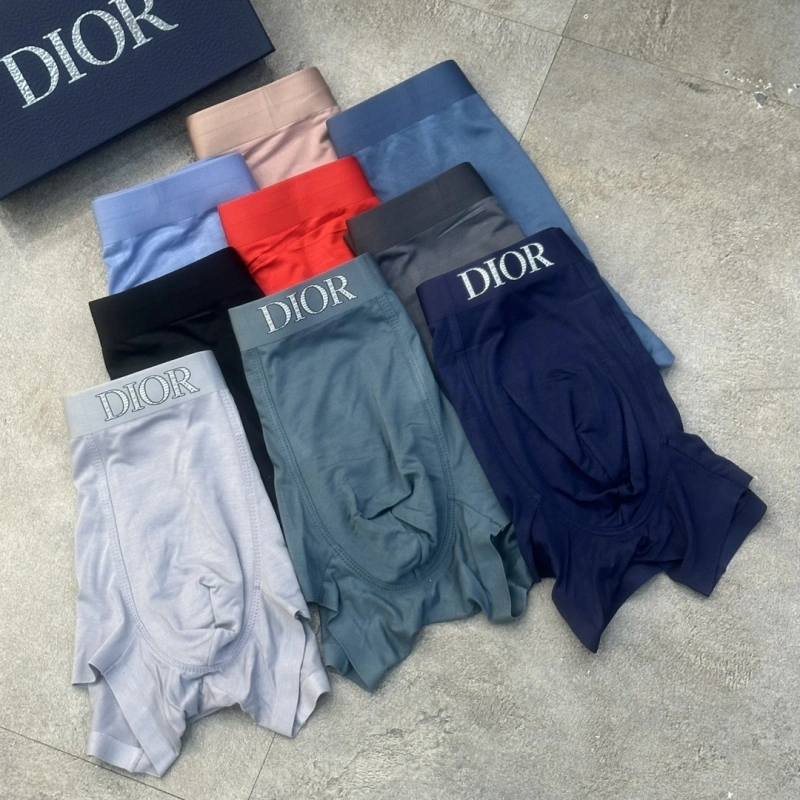 TravelReady Christian Dior Underwear 276447