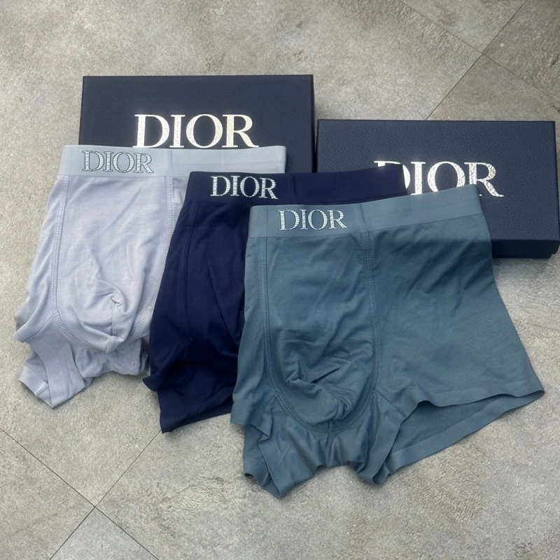TravelReady Christian Dior Underwear 276447
