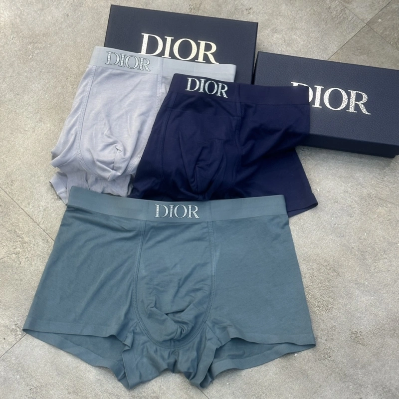 TravelReady Christian Dior Underwear 276447