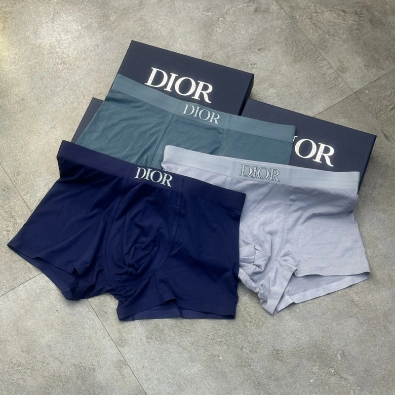 TravelReady Christian Dior Underwear 276447