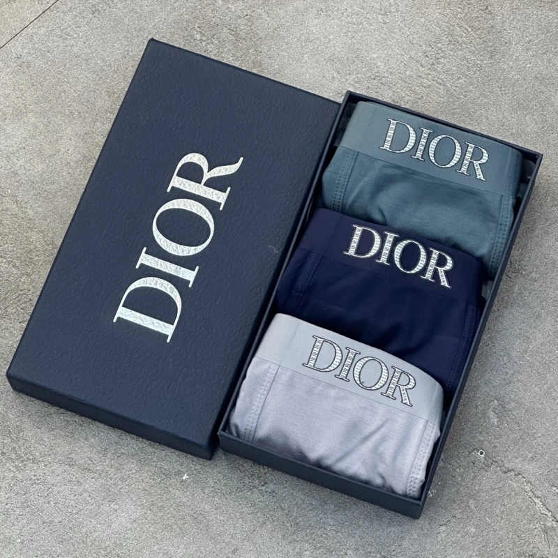TravelReady Christian Dior Underwear 276447