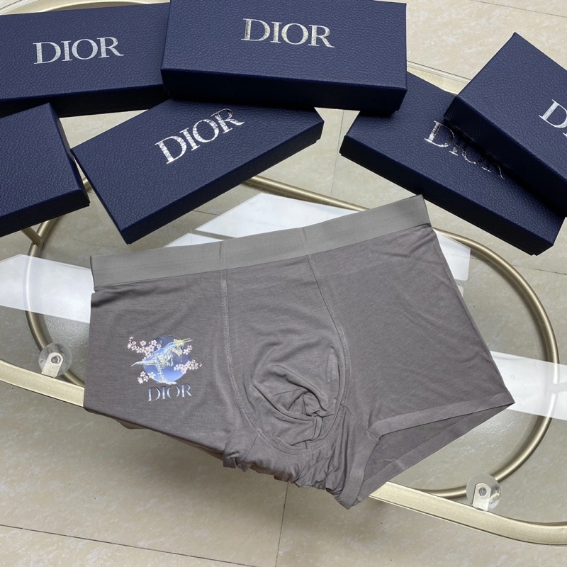 Christian Dior Underwear UrbanStyle 276445
