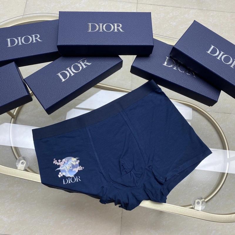 Christian Dior Underwear UrbanStyle 276445